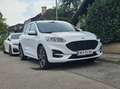 Ford Kuga Kuga 2,5 Duratec PHEV ST-Line Aut. ST-Line Weiß - thumbnail 9