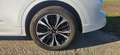 Ford Kuga Kuga 2,5 Duratec PHEV ST-Line Aut. ST-Line Weiß - thumbnail 18