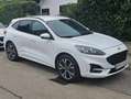 Ford Kuga Kuga 2,5 Duratec PHEV ST-Line Aut. ST-Line Weiß - thumbnail 10
