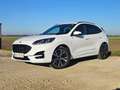 Ford Kuga Kuga 2,5 Duratec PHEV ST-Line Aut. ST-Line Weiß - thumbnail 1