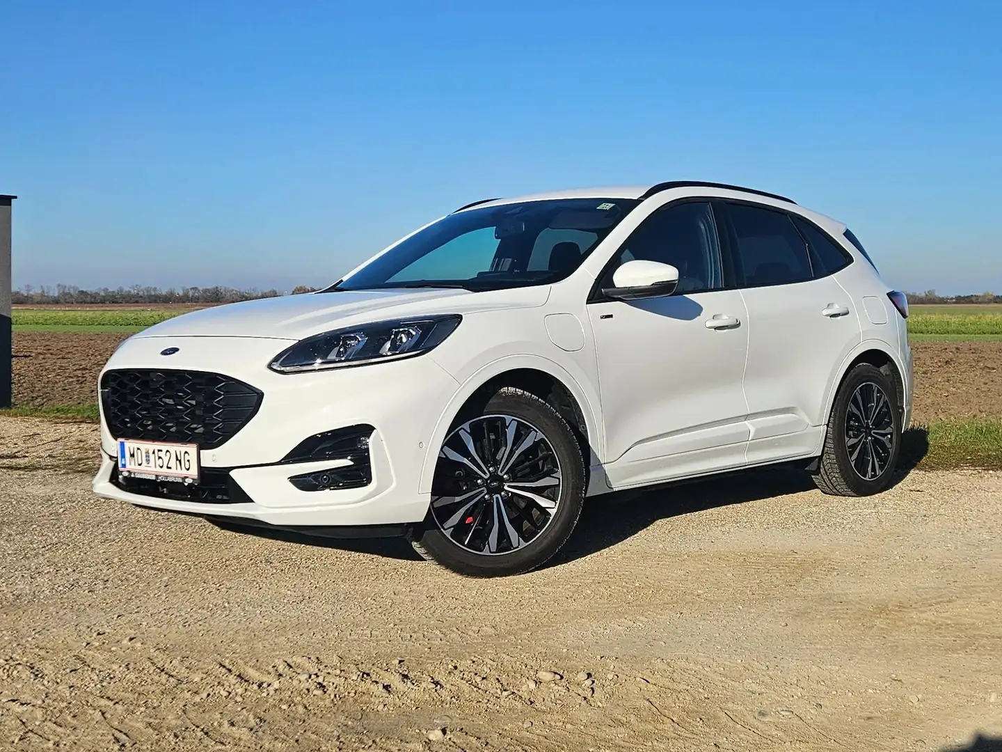 Ford Kuga Kuga 2,5 Duratec PHEV ST-Line Aut. ST-Line Weiß - 1