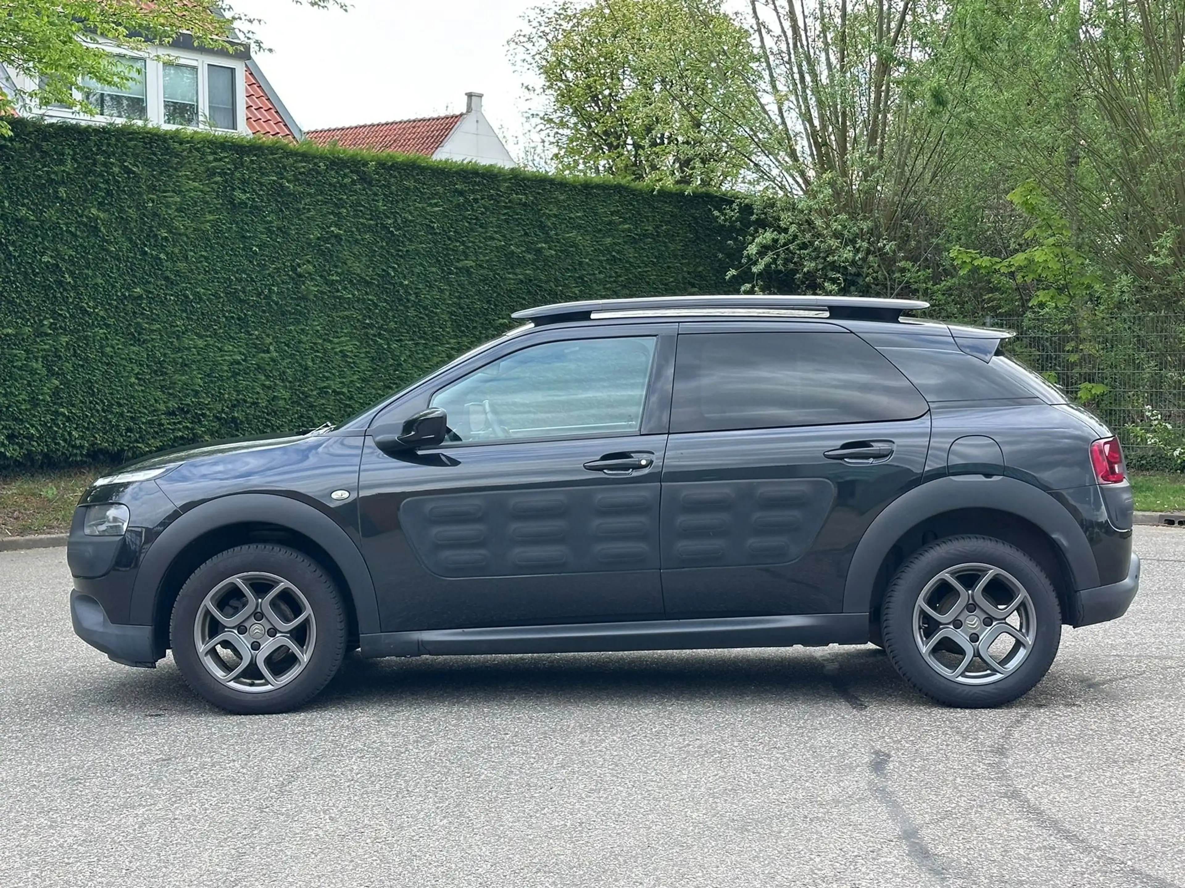 Citroen C4 Cactus 1.2 PureTech Shine Achteruit camera*Navigatie*Deal — photo 2