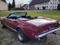 Ford Mustang Mustang cabrio, V8, Einmalig. Rosso - thumbnail 13