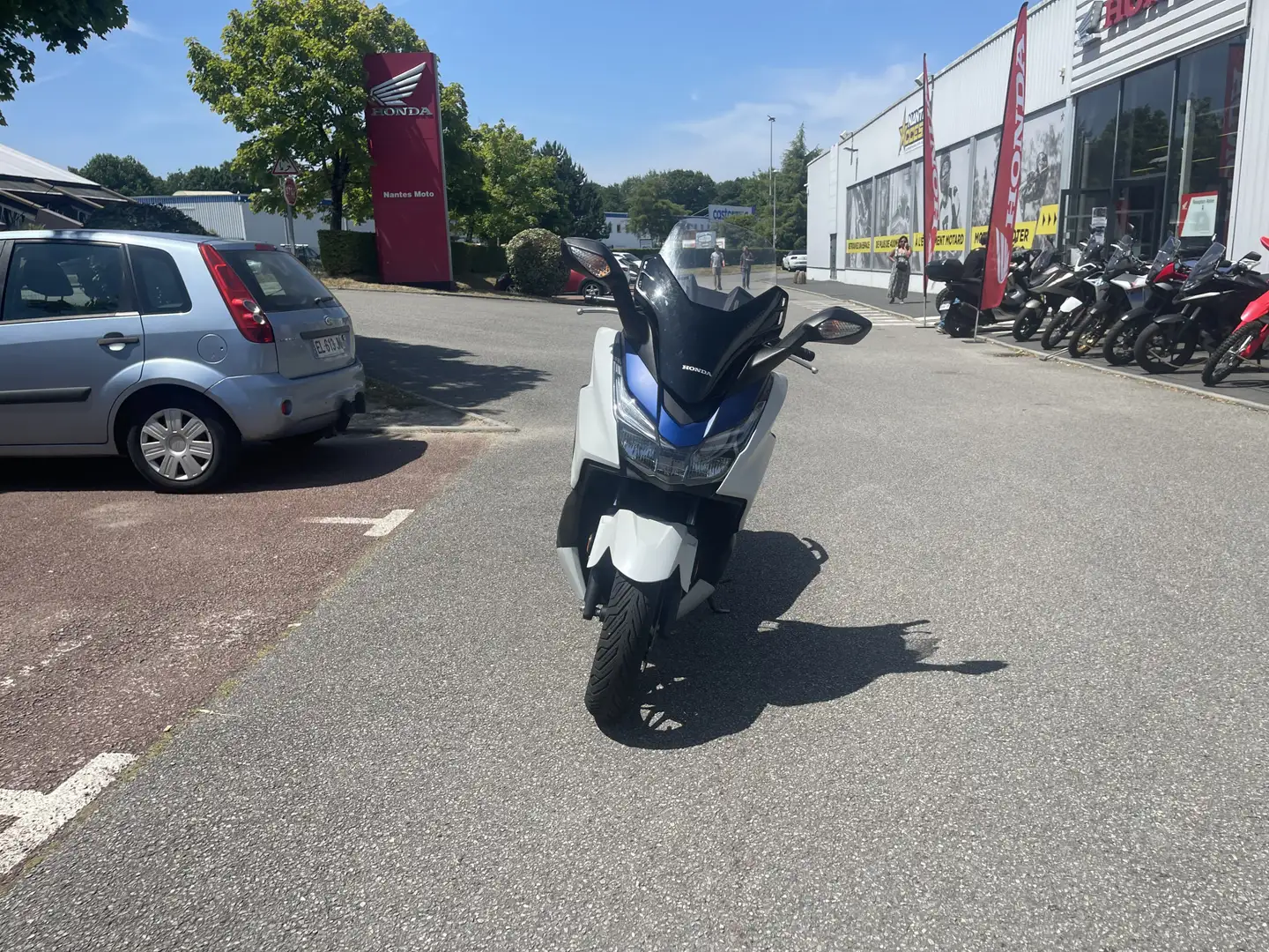 Honda Blanc - 2