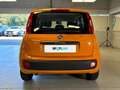 Fiat Panda 1.2 69cv E6 Easy Arancione - thumbnail 4