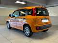 Fiat Panda 1.2 69cv E6 Easy Arancione - thumbnail 3