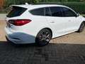 Ford Focus ST-Line X Blanc - thumbnail 3