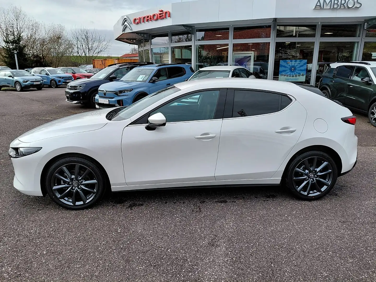 Mazda 3 Mazda3 e-Skyactiv-G140 Exclusive-Line FRÜHJAHRS... Weiß - 1