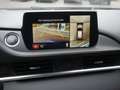 Mazda 6 Kombi SKYACTIV-G 194 Homura HUD LED 360° Schwarz - thumbnail 13