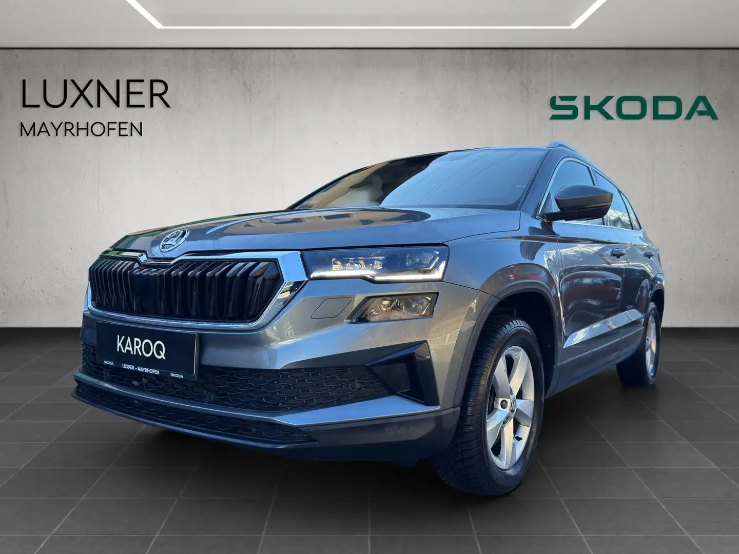 Skoda Karoq 4x4 Selection TDI DSG Grau - 1
