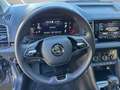 Skoda Karoq 4x4 Selection TDI DSG Grau - thumbnail 10