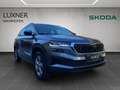 Skoda Karoq 4x4 Selection TDI DSG Grau - thumbnail 7