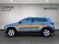 Skoda Karoq 4x4 Selection TDI DSG Grau - thumbnail 2