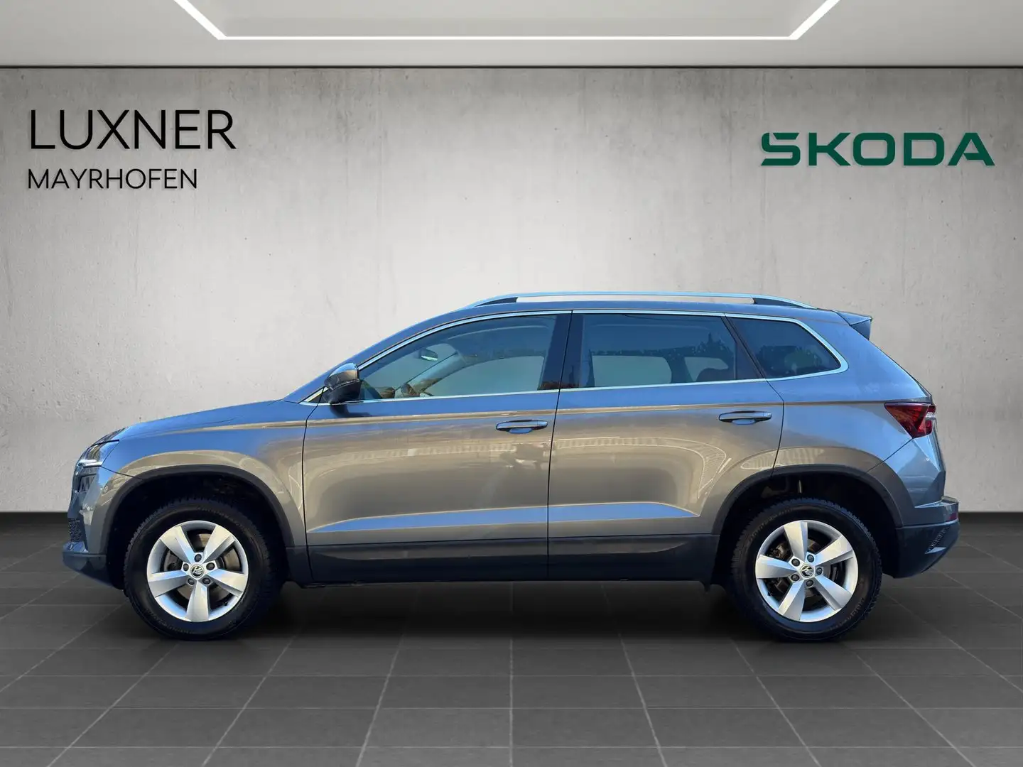 Skoda Karoq 4x4 Selection TDI DSG Grau - 2