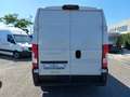 Fiat Ducato 33 2.2 Mjt 120CV PLM-TM Furgone Blanco - thumbnail 6