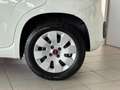 Fiat Panda 1.2 Edizione Cool*Airco*Elektrische ramen*Nieuwe d Wit - thumbnail 4