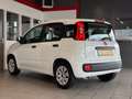 Fiat Panda 1.2 Edizione Cool*Airco*Elektrische ramen*Nieuwe d Wit - thumbnail 8