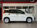 Fiat Panda 1.2 Edizione Cool*Airco*Elektrische ramen*Nieuwe d Wit - thumbnail 10