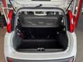 Fiat Panda 1.2 Edizione Cool*Airco*Elektrische ramen*Nieuwe d Wit - thumbnail 22