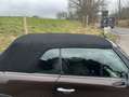 MINI Cooper Cabrio Mini Cabriolet 1.6i Cooper 0478/17.58.61 Brun - thumbnail 9