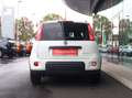 Fiat Panda 4x2 FireFly Hybrid 70 City Life *EINTAUSCHBONUS... Weiß - thumbnail 8