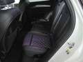 Audi SQ5 SQ5 Sportback 3.0 tdi mhev 48V quattro tiptronic Bianco - thumbnail 5