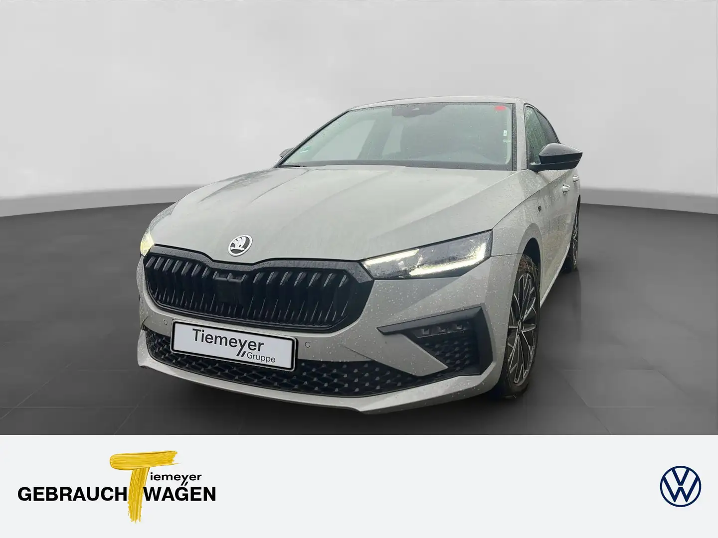 Skoda Scala 1.5 TSI SELECTION LM17 SITZHZG KAMERA MATR Grau - 1