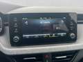 Skoda Scala 1.5 TSI SELECTION LM17 SITZHZG KAMERA MATR Grau - thumbnail 14
