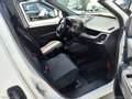 Fiat Doblo 1.6 MJT 105CV PC-TN Cargo Lam. SX 3 POSTI 2019 Blanc - thumbnail 9