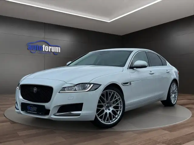 Jaguar XF Prestige ACC°LEDER°BI-XENON°TOTWINKEL°SPURH