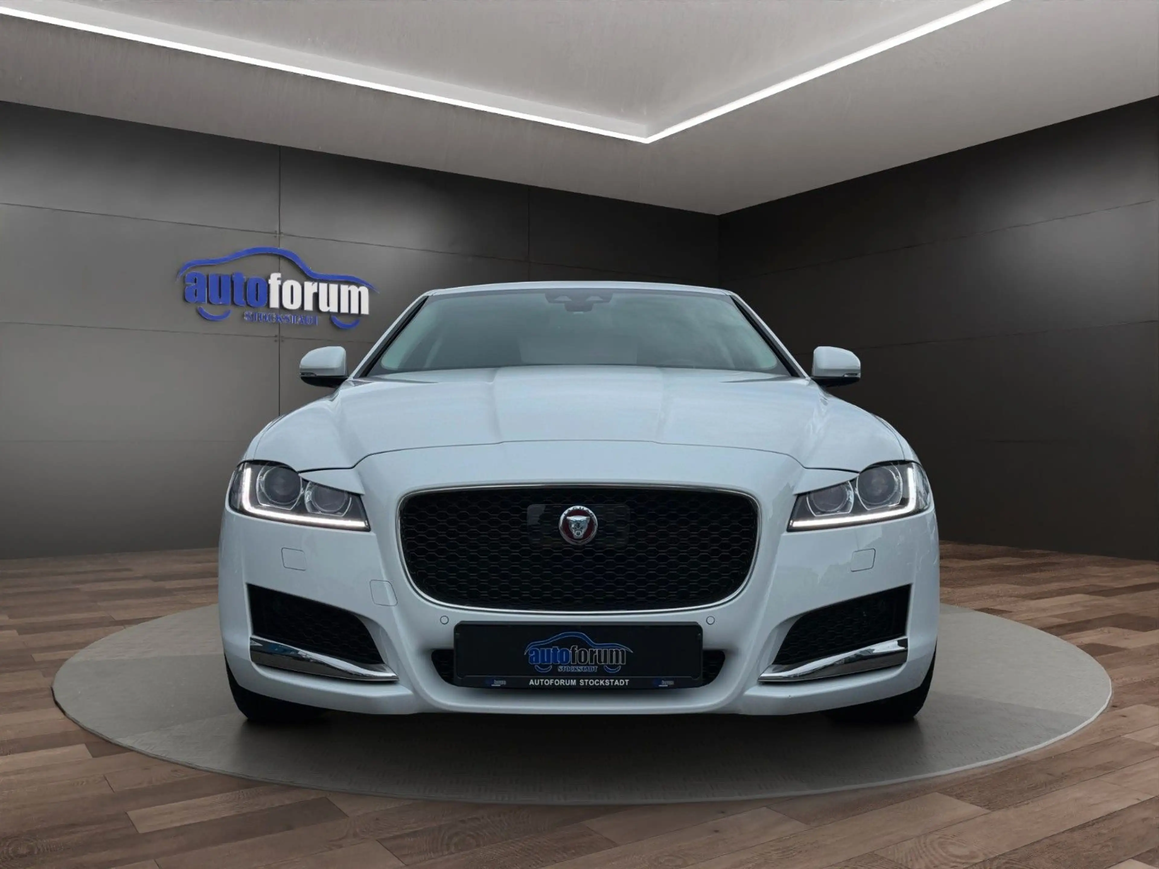 Jaguar XF Prestige ACC°LEDER°BI-XENON°TOTWINKEL°SPURH — photo 2