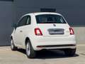 Fiat 500 1.0i Hybrid NIEUW NOUVEAU NEW Blanco - thumbnail 26