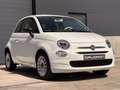 Fiat 500 1.0i Hybrid NIEUW NOUVEAU NEW Blanco - thumbnail 5
