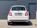 Fiat 500 1.0i Hybrid NIEUW NOUVEAU NEW Blanco - thumbnail 23
