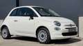 Fiat 500 1.0i Hybrid NIEUW NOUVEAU NEW Blanco - thumbnail 1