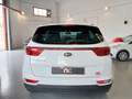 Kia Sportage 1.6 GDI Concept 4x2 Weiß - thumbnail 5