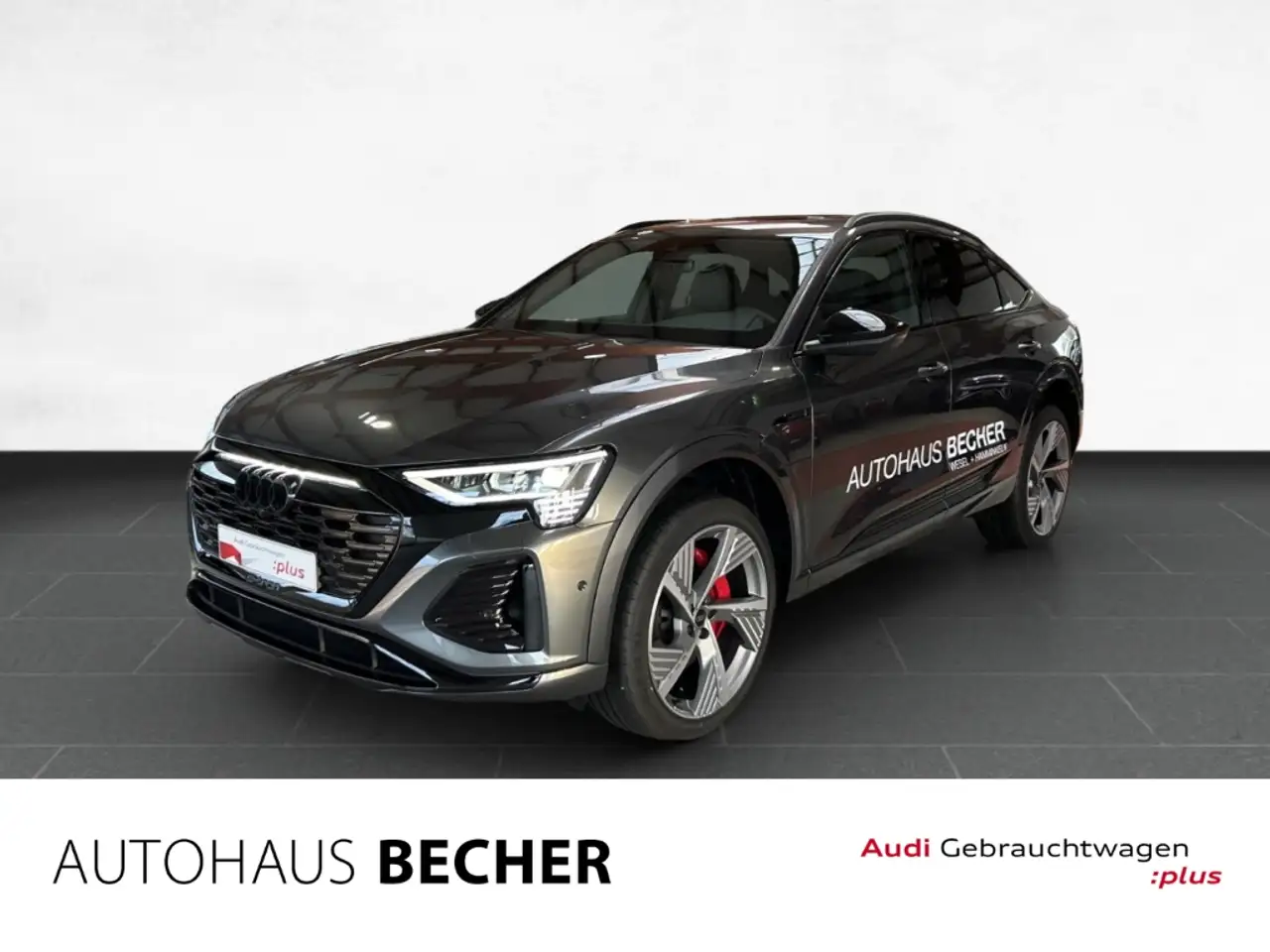 Audi Q8 e-tron
