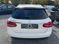 Mercedes-Benz C 220 C -Klasse T-Modell C 220 T BlueTec / d Blanc - thumbnail 5