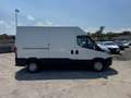 Iveco Daily Daily 33S11V 2.3 HPT PC-TN Furgone Blanc - thumbnail 2