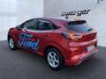 Ford Puma ST-Line Kamera Einparkhilfe Tempomat Navi LED Rot - thumbnail 3