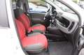 Fiat Panda 1.3 MJT S&S 4x4 Climbing Van 2 posti ELD Weiß - thumbnail 6