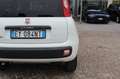 Fiat Panda 1.3 MJT S&S 4x4 Climbing Van 2 posti ELD Weiß - thumbnail 21