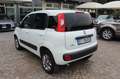 Fiat Panda 1.3 MJT S&S 4x4 Climbing Van 2 posti ELD Weiß - thumbnail 10