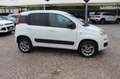 Fiat Panda 1.3 MJT S&S 4x4 Climbing Van 2 posti ELD Weiß - thumbnail 13