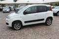 Fiat Panda 1.3 MJT S&S 4x4 Climbing Van 2 posti ELD Weiß - thumbnail 26