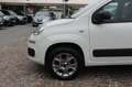 Fiat Panda 1.3 MJT S&S 4x4 Climbing Van 2 posti ELD Weiß - thumbnail 25