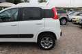 Fiat Panda 1.3 MJT S&S 4x4 Climbing Van 2 posti ELD Weiß - thumbnail 24