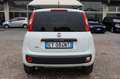 Fiat Panda 1.3 MJT S&S 4x4 Climbing Van 2 posti ELD Weiß - thumbnail 19