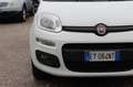 Fiat Panda 1.3 MJT S&S 4x4 Climbing Van 2 posti ELD Weiß - thumbnail 22