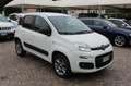 Fiat Panda 1.3 MJT S&S 4x4 Climbing Van 2 posti ELD Weiß - thumbnail 7